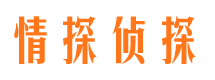 扶余市婚外情取证